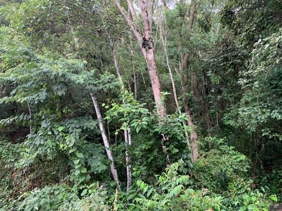 Terreno Itaipava, Petrópolis - RJ