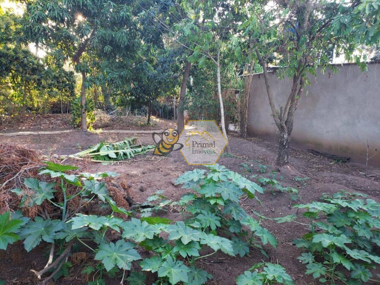 Terreno Jardim São Roque, Lins - SP