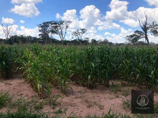 Área Rural de São Carlos - São Carlos - SP, São Carlos - SP