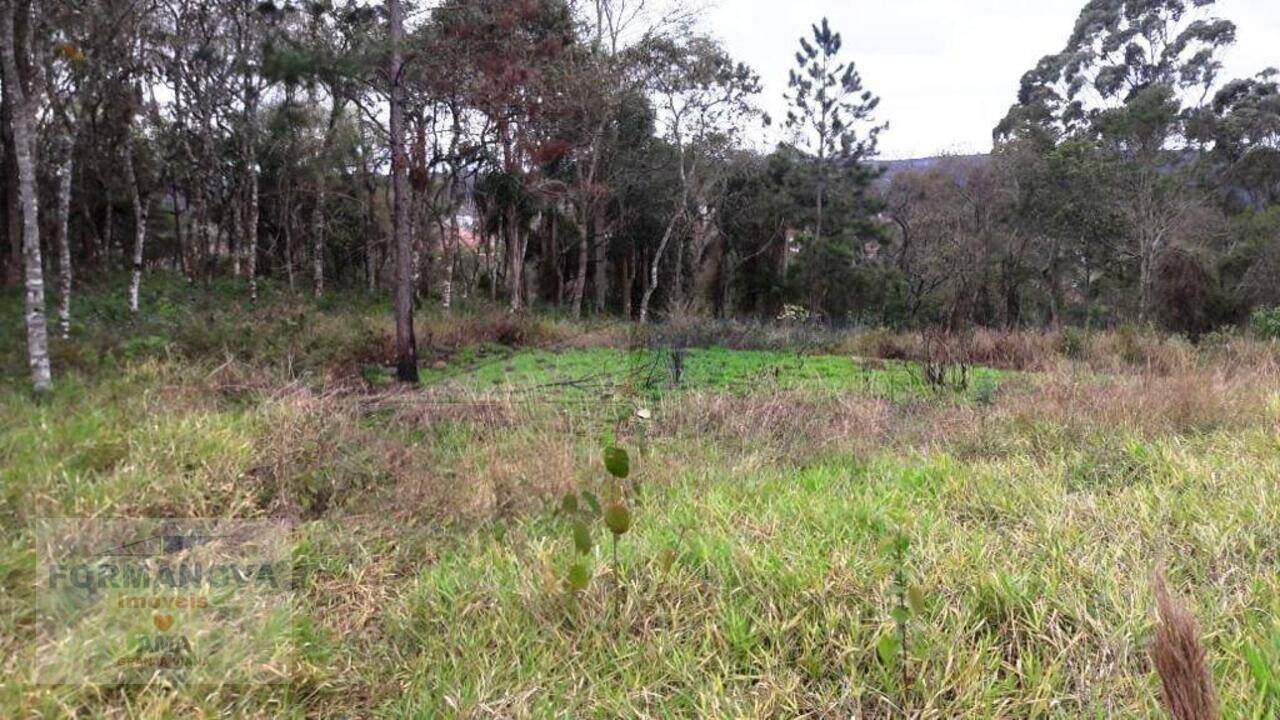 Área Jardim Ísis, Cotia - SP