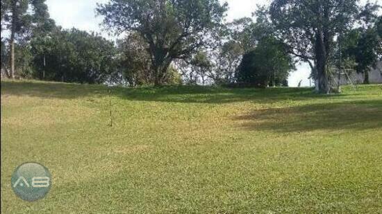 Campo Do Meio - Campo Largo - PR, Campo Largo - PR