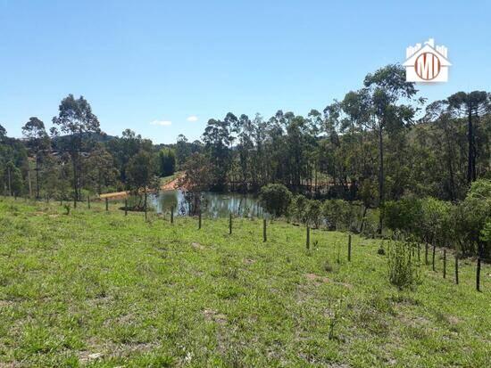 Terreno de 2.000 m² Boca da Mata - Pedra Bela, à venda por R$ 150.000