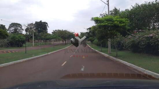 Santa Martha - Ribeirão Preto - SP, Ribeirão Preto - SP