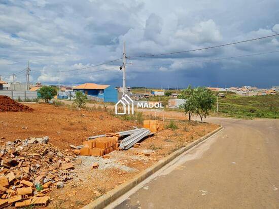 Cará-cará - Ponta Grossa - PR, Ponta Grossa - PR