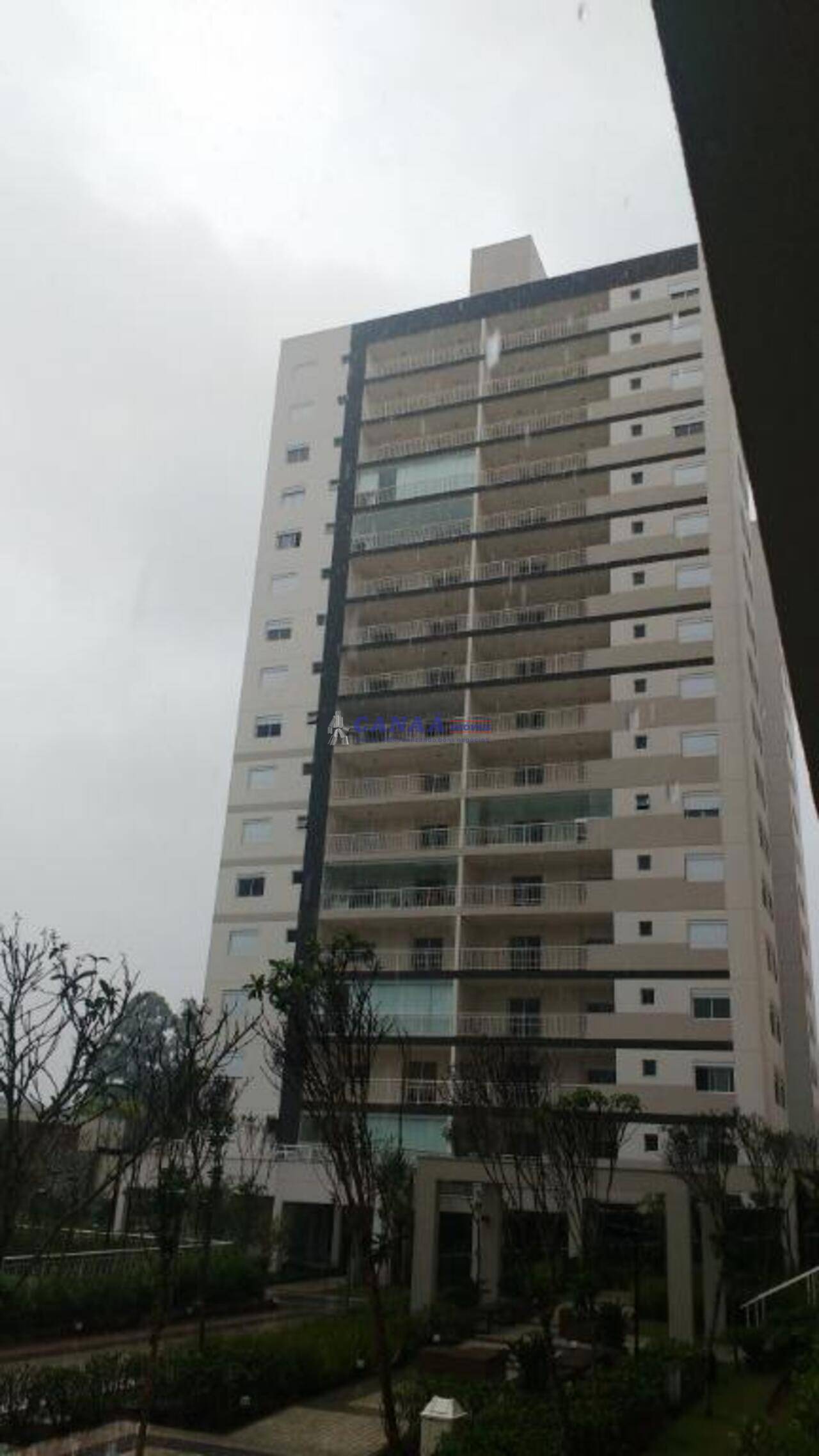 Apartamento Morumbi, São Paulo - SP