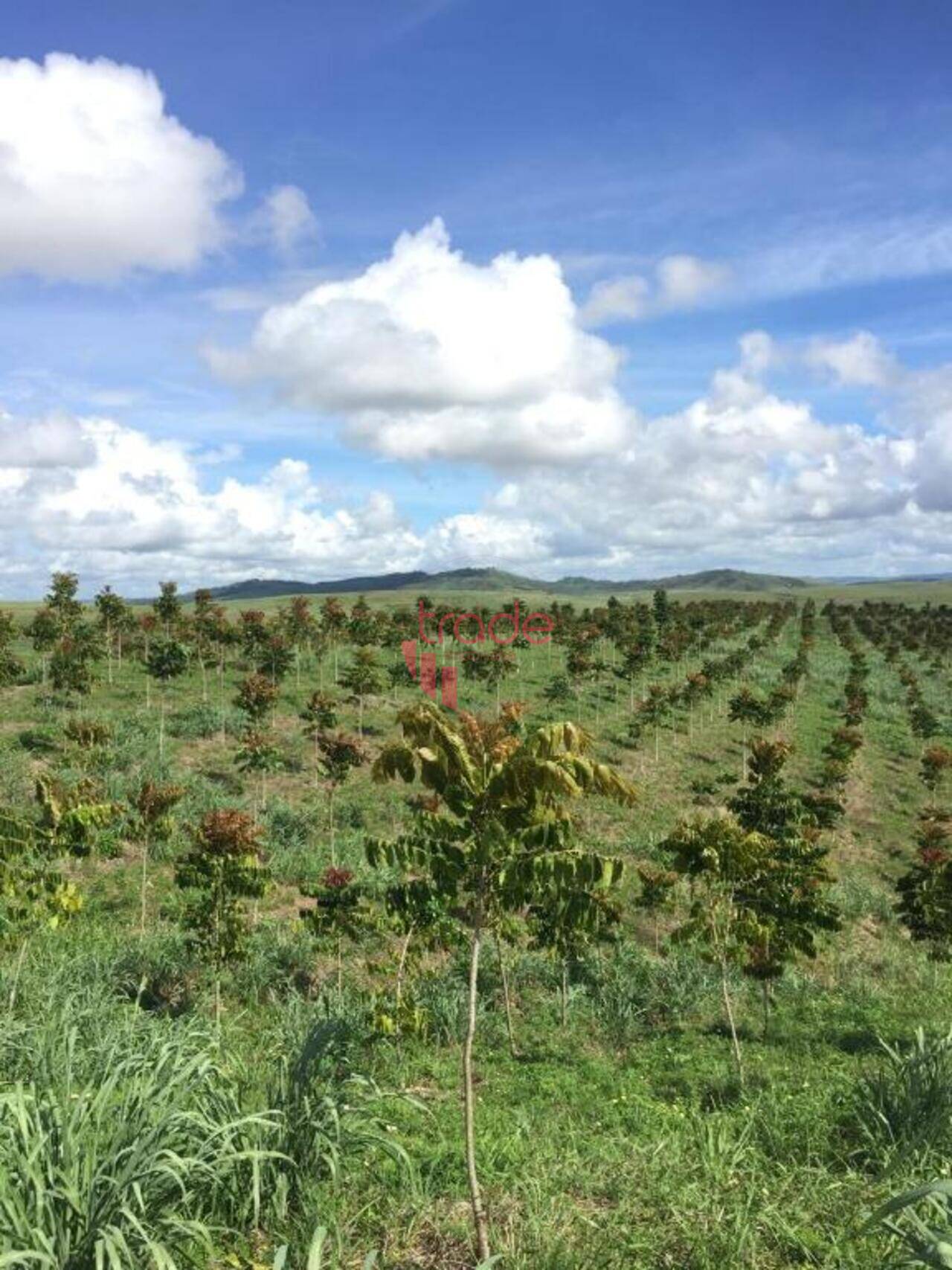 Fazenda Zona Rural, Maceió - AL