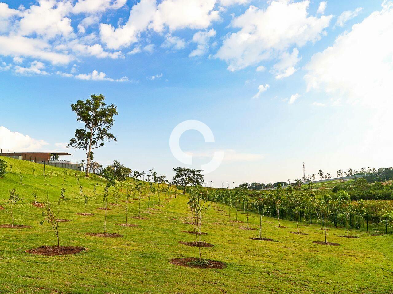 Terreno Loteamento Residencial Pedra Alta (Sousas), Campinas - SP