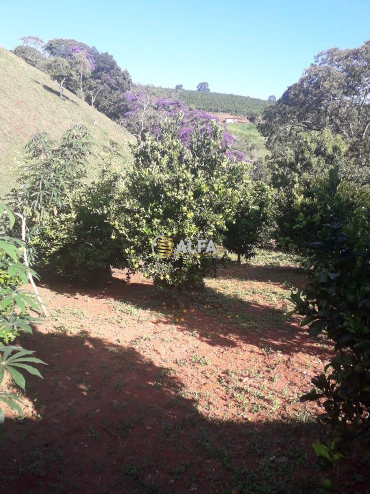 Sítio Zona Rural, Espírito Santo do Dourado - MG