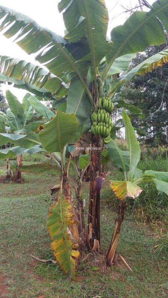 Terreno Pomar da Serra, Juiz de Fora - MG