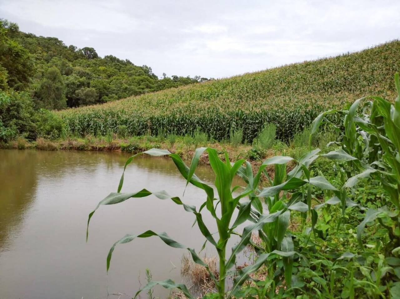 Chácara Zona Rural, Contenda - PR