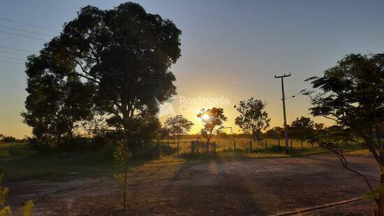 Jardim dos Pássaros, terrenos, 600 a 900 m², Campo Maior - PI