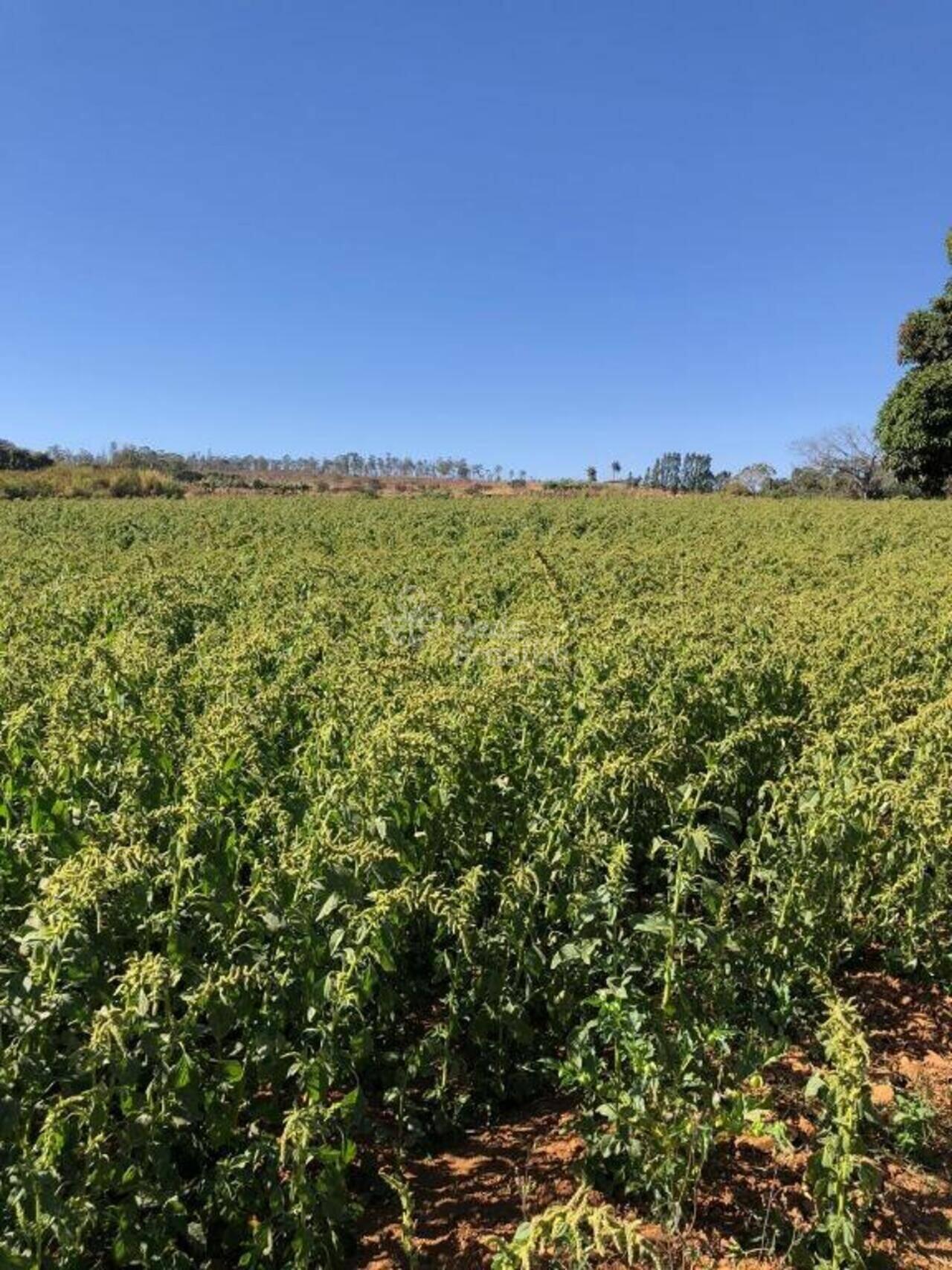 Fazenda Brazlândia, Brazlândia - DF