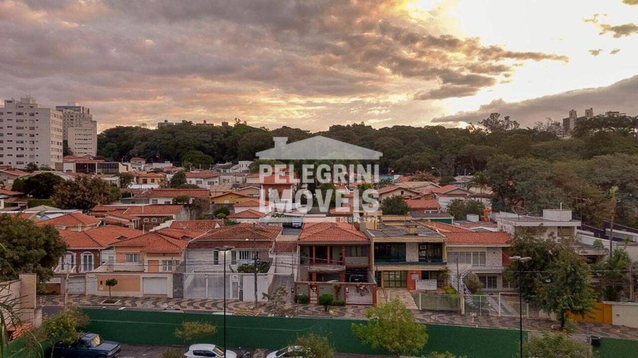 Apartamento Jardim Proença, Campinas - SP