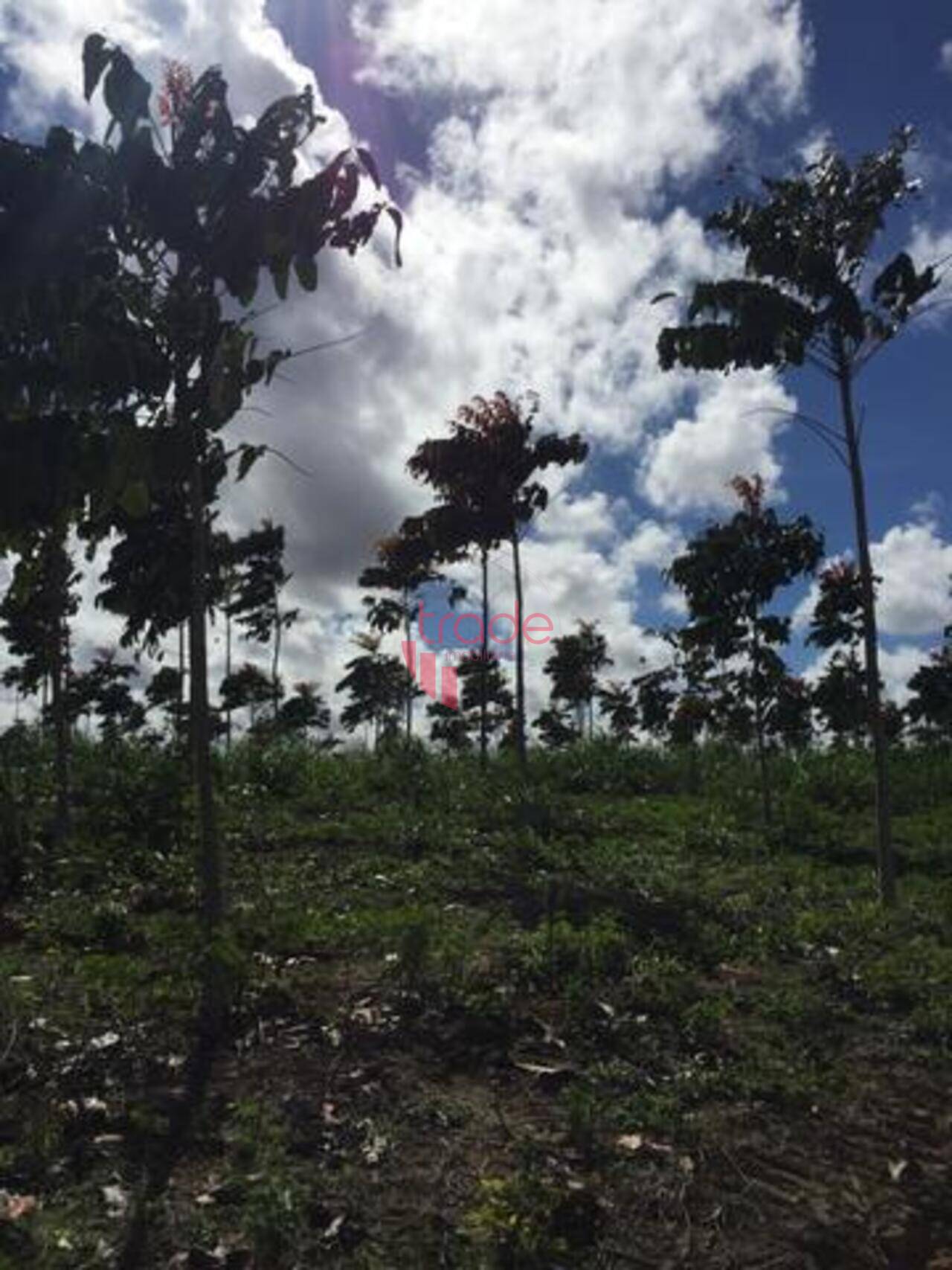 Fazenda Zona Rural, Maceió - AL