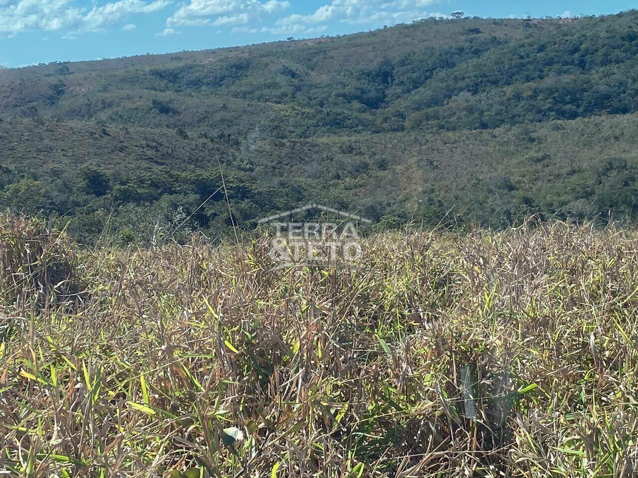 Fazenda Área Rural de Patos de Minas, Patos de Minas - MG