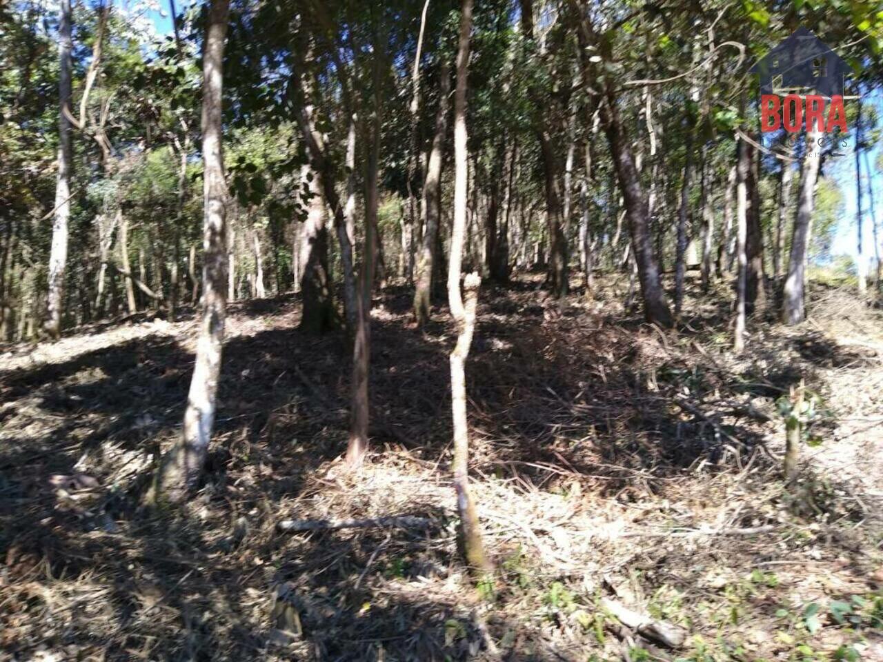 Terreno Mato Dentro, Mairiporã - SP