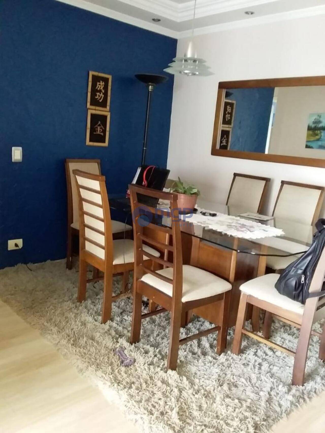 Apartamento Santana, São Paulo - SP