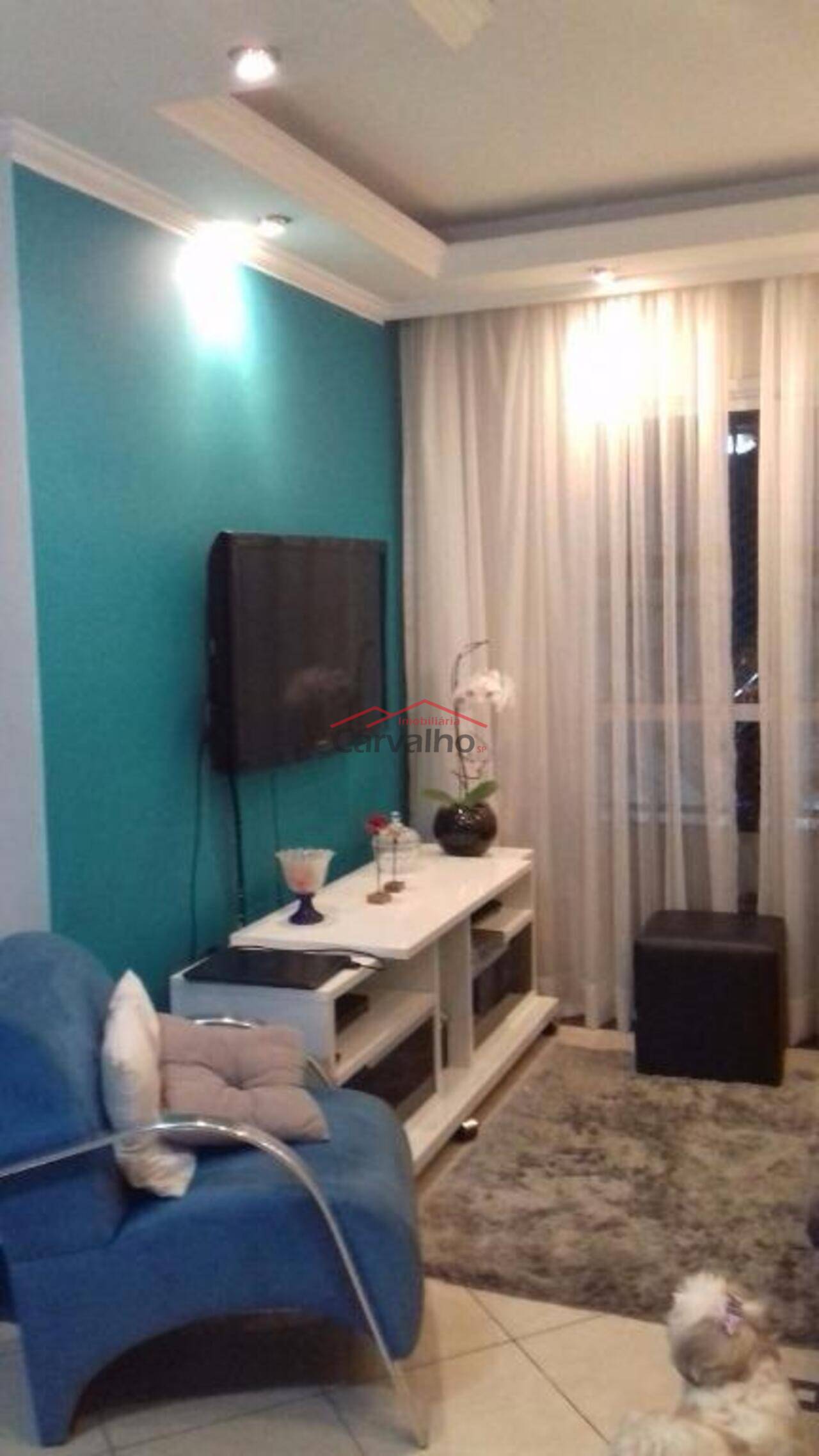 Apartamento Vila Gustavo, São Paulo - SP