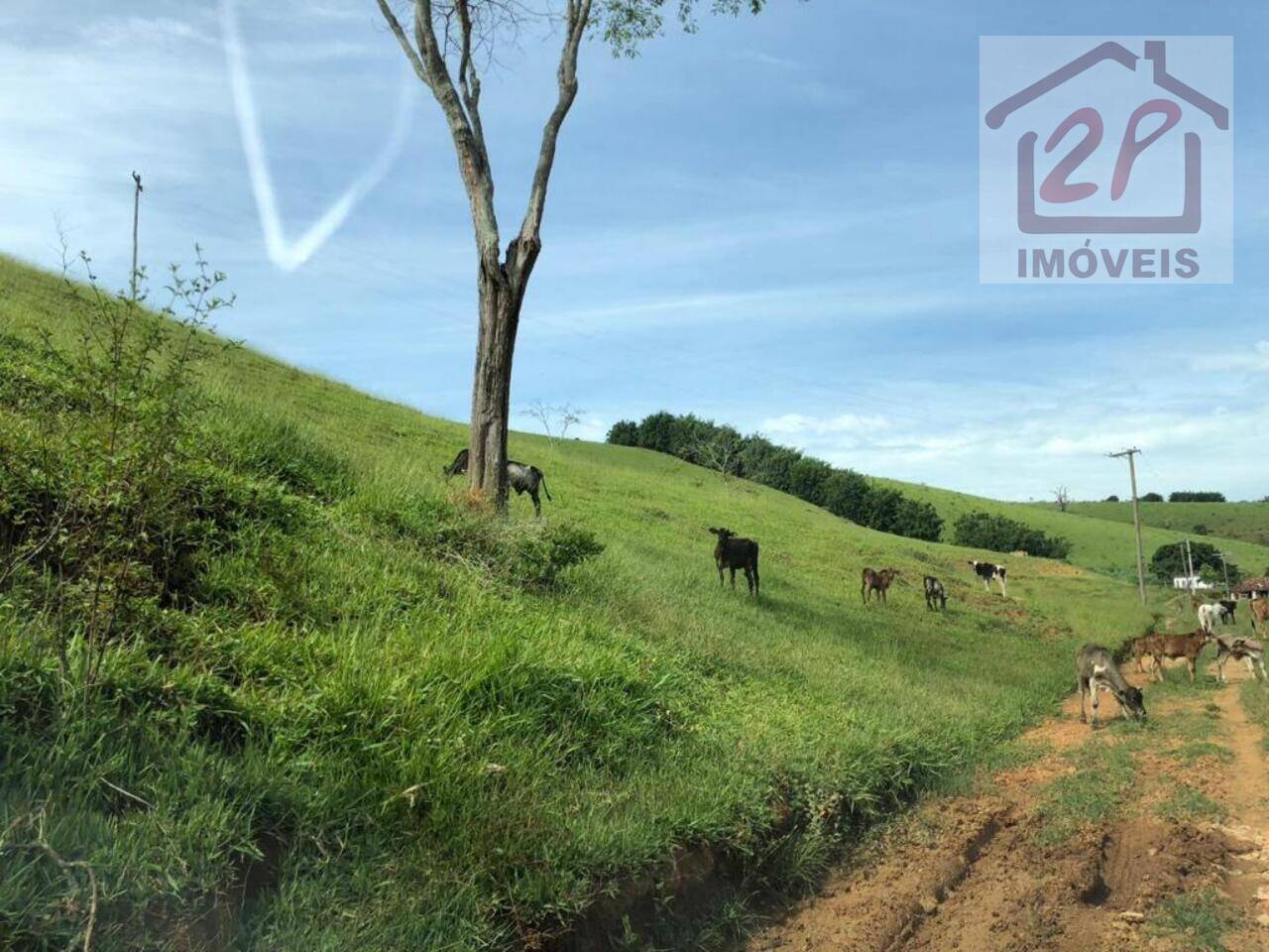 Fazenda Ribeirão Grande, Pindamonhangaba - SP