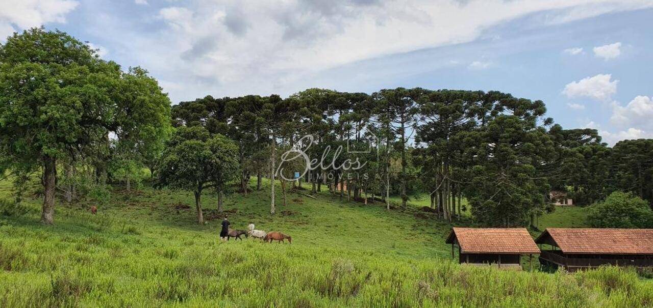 Chácara Planta São Tiago, Piraquara - PR