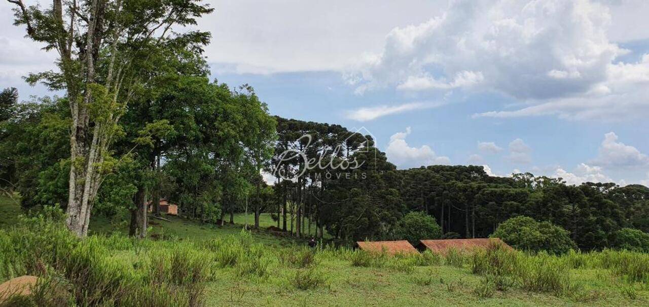 Chácara Planta São Tiago, Piraquara - PR