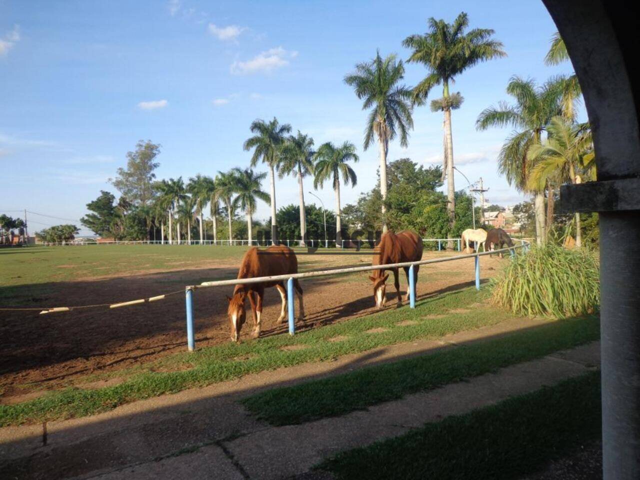 Casa Condomínio Palmeiras Imperiais, Salto - SP