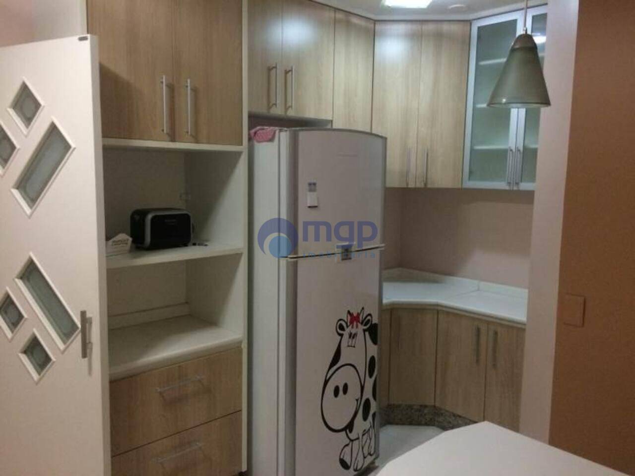 Apartamento Lauzane Paulista, São Paulo - SP