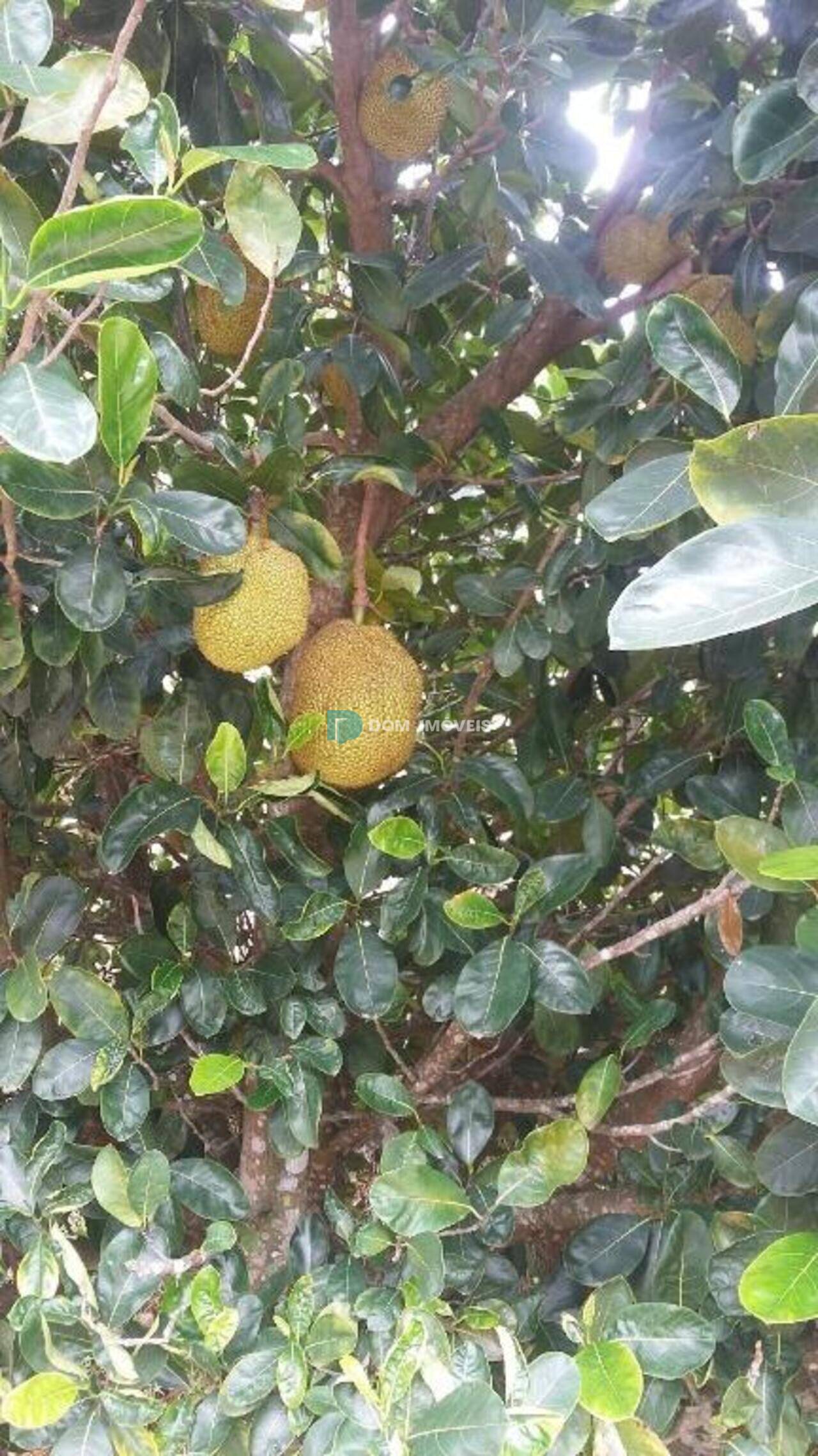 Terreno Pomar da Serra, Juiz de Fora - MG