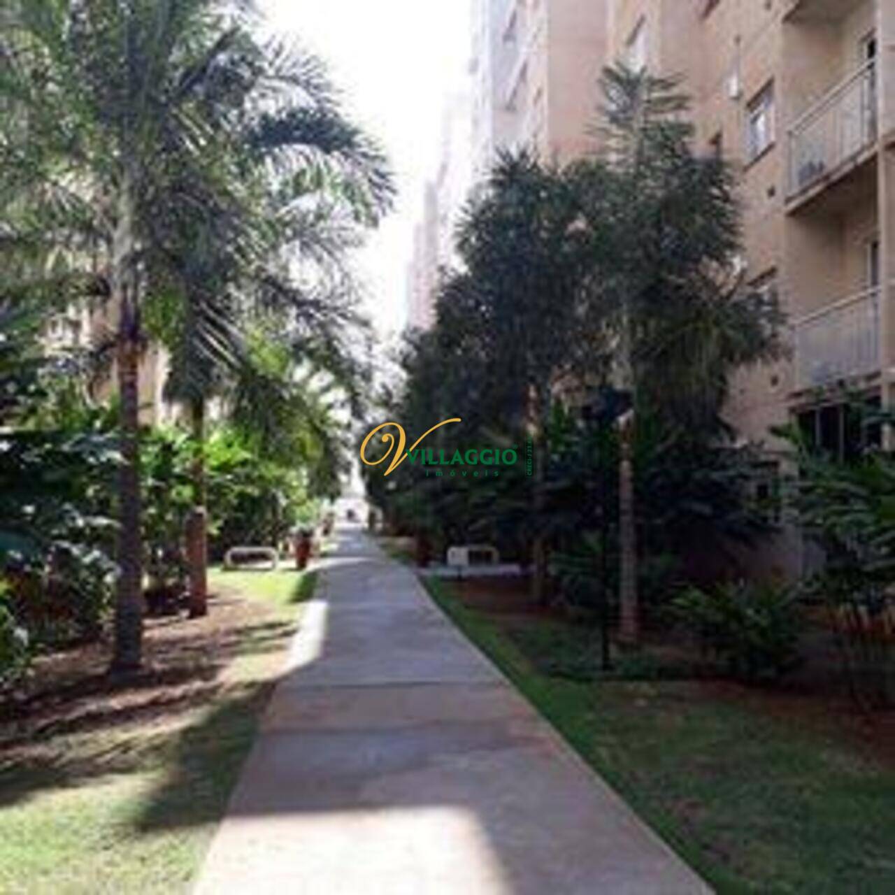 Apartamento Residencial Vila Flora, São José do Rio Preto - SP