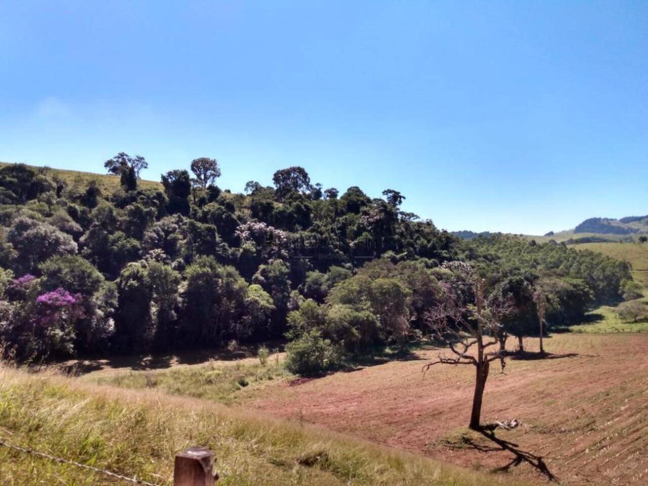 Fazenda Farias, Brasópolis - MG