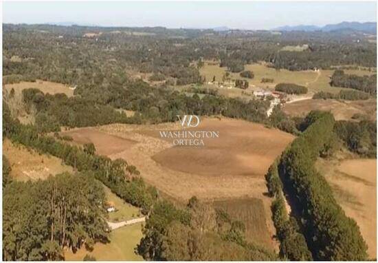 Campo Largo da Roseira - São José dos Pinhais - PR, São José dos Pinhais - PR