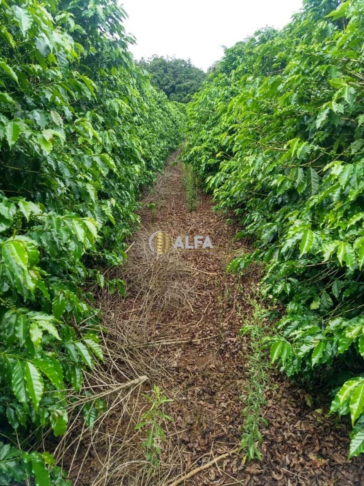 Fazenda Catantuva, Turvolândia - MG