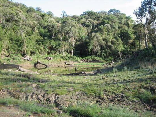 Zona Rural - São José dos Pinhais - PR, São José dos Pinhais - PR