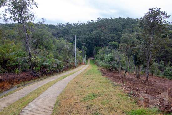 Terreno de 20.011 m² Brejal - Petrópolis, à venda por R$ 360.000