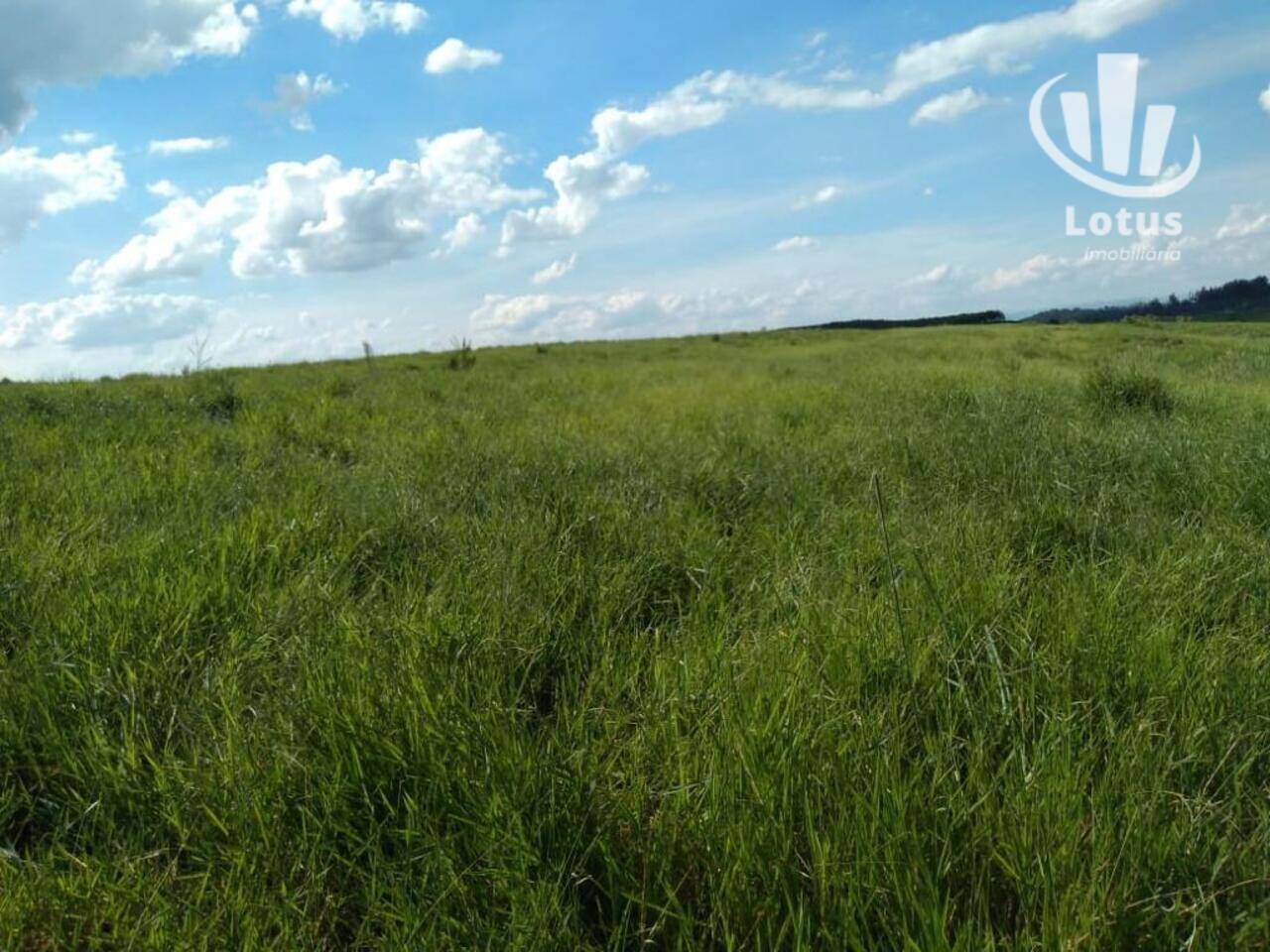 Fazenda Area Rural, Itapira - SP