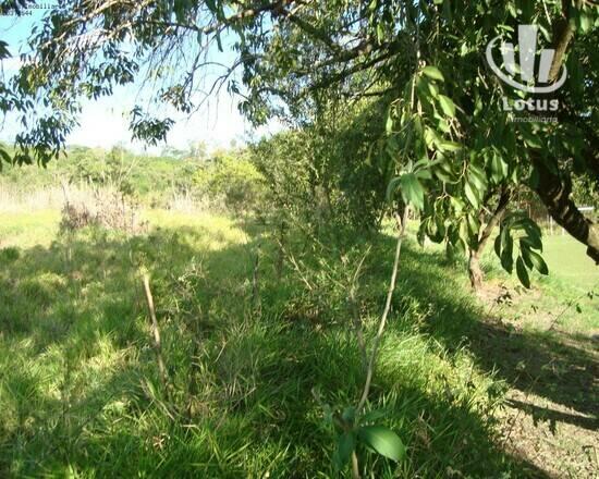 Guedes - Jaguariúna - SP, Jaguariúna - SP