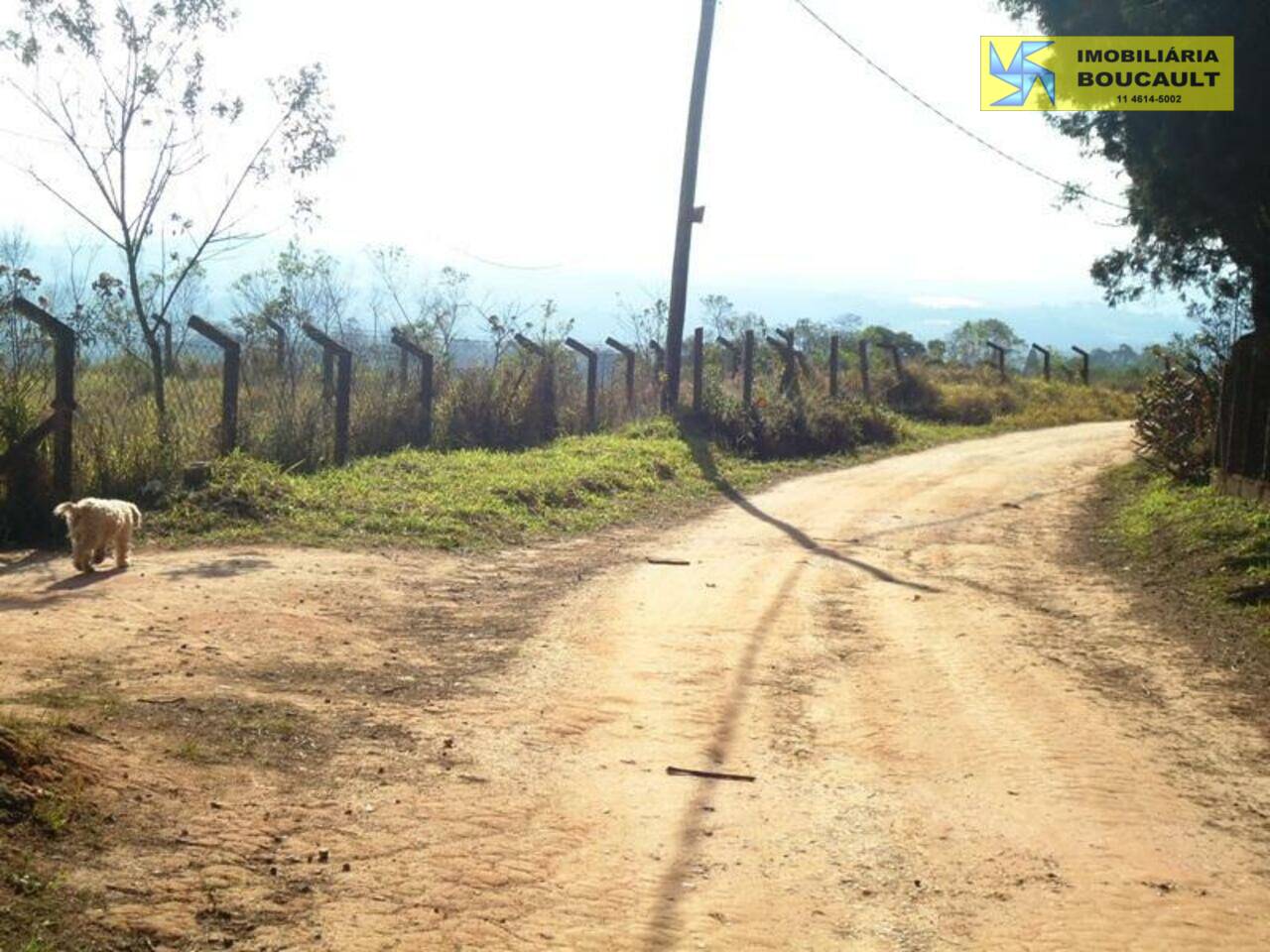 Sítio Bairro Das Brotas, Cotia - SP