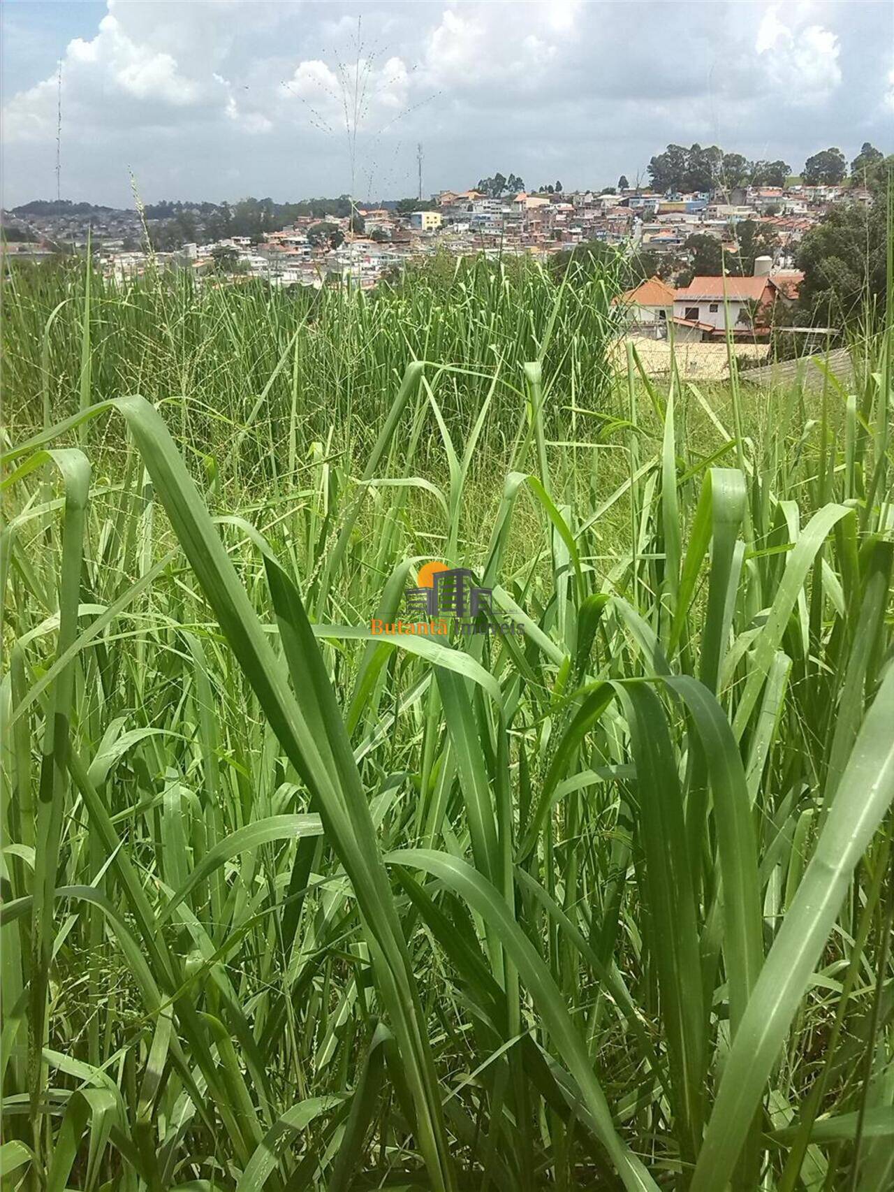 Terreno Parque dos Príncipes, São Paulo - SP