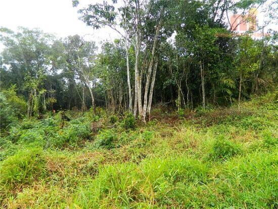 Terreno Cidade Nova Peruibe, Peruíbe - SP