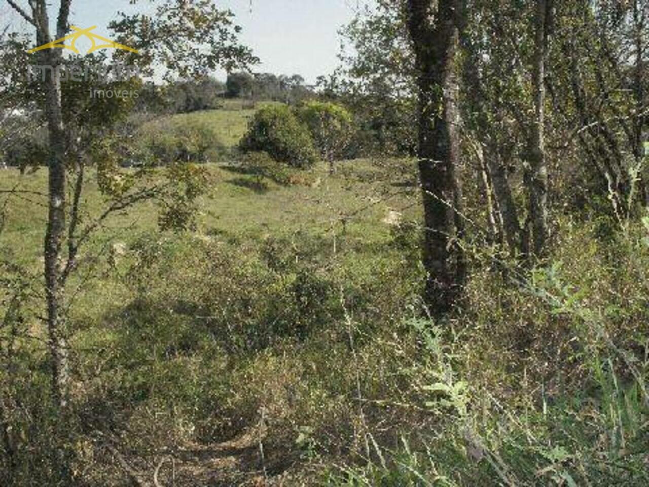 Sítio Zona Rural, Limeira - SP