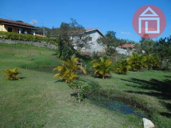 Arara dos Pereiras - Bragança Paulista - SP, Bragança Paulista - SP