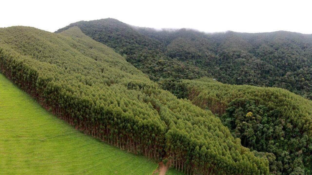 Fazenda Zona Rural, Delfim Moreira - MG