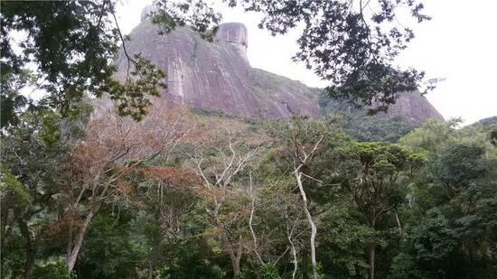 São Conrado - Rio de Janeiro - RJ, Rio de Janeiro - RJ