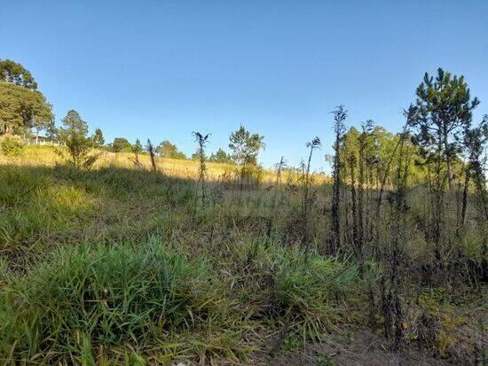 Terreno Ibiúna, Ibiúna - SP