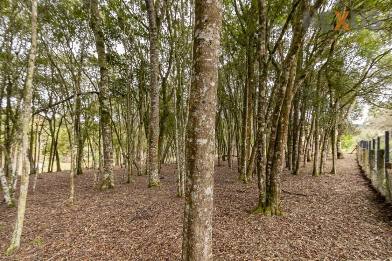 Chácara Mandassaia, Campina Grande do Sul - PR