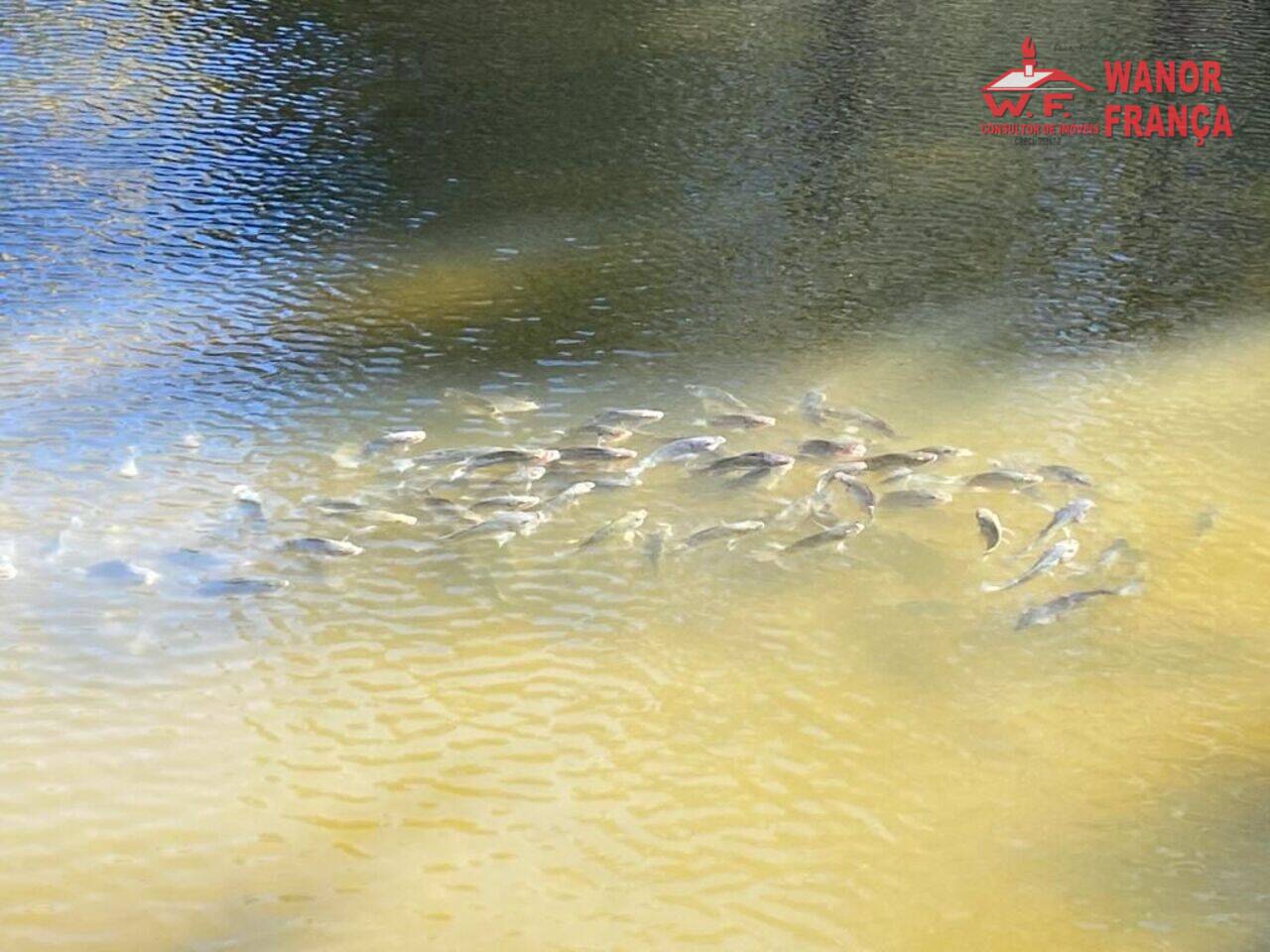 Sítio Alto Serra Mantiqueira, Piquete - SP