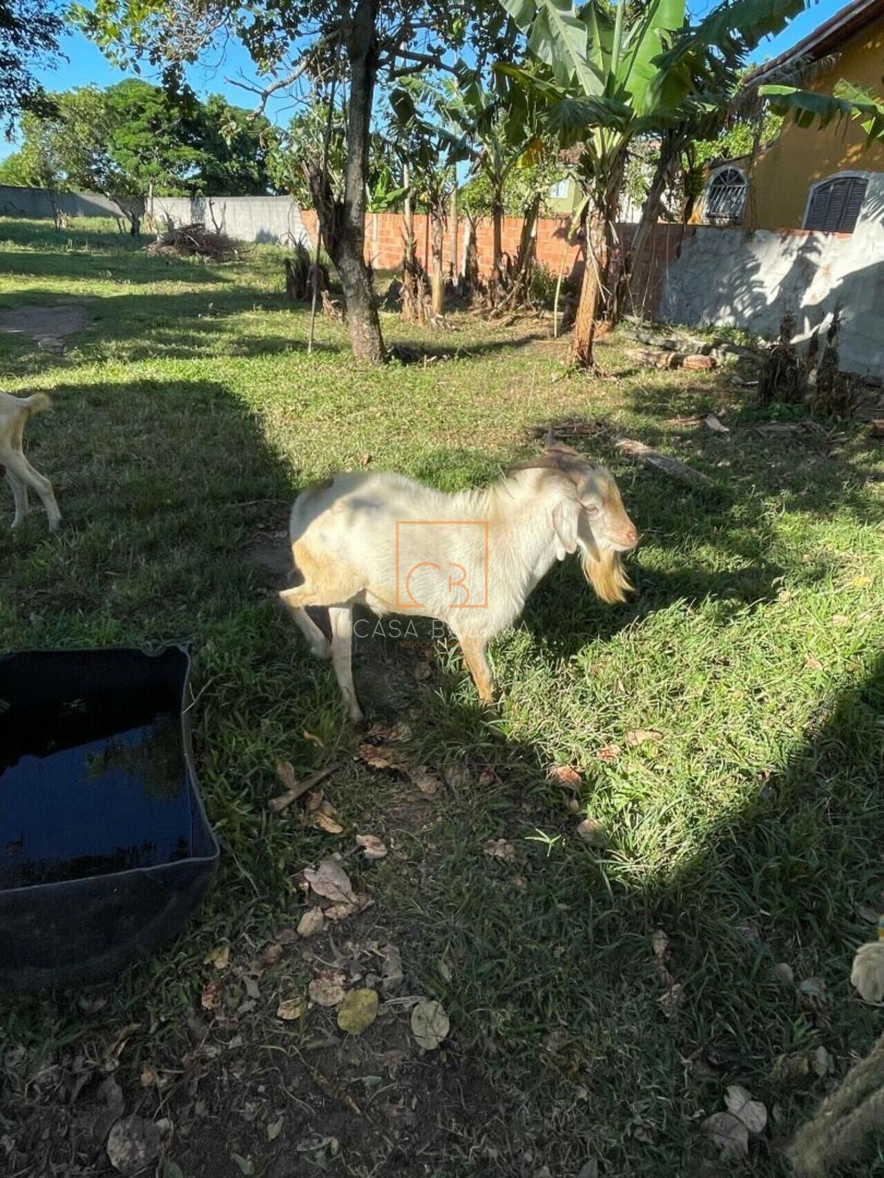 Chácara Retiro, São Pedro da Aldeia - RJ