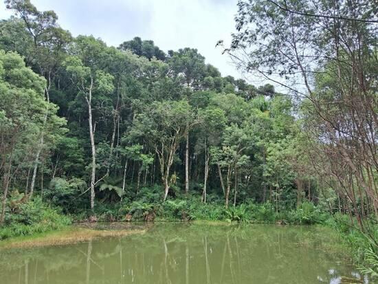 Zona Rural - Quitandinha - PR, Quitandinha - PR