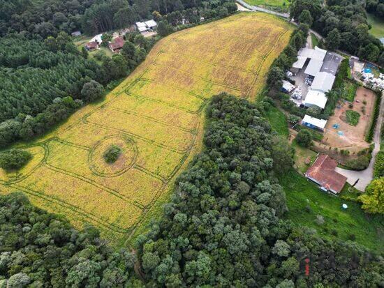 Timbotuva - Campo Largo - PR, Campo Largo - PR