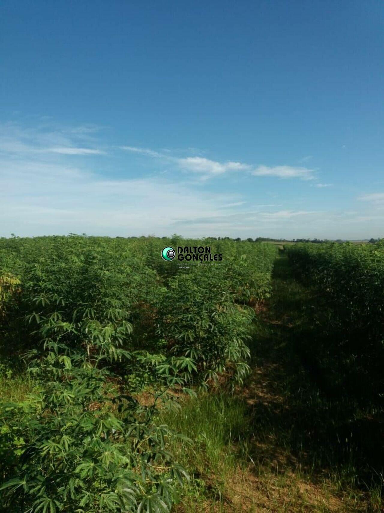 Área Mato Dentro, Indaiatuba - SP